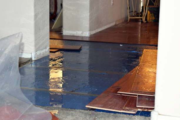 Professional Basement Flood Cleanup technician working in Gardendale, TX